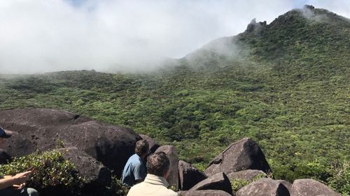 The search for rare plant species lost in remote Queensland for 50 years