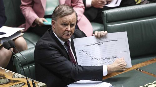 Anthony Albanese in Parliament today.