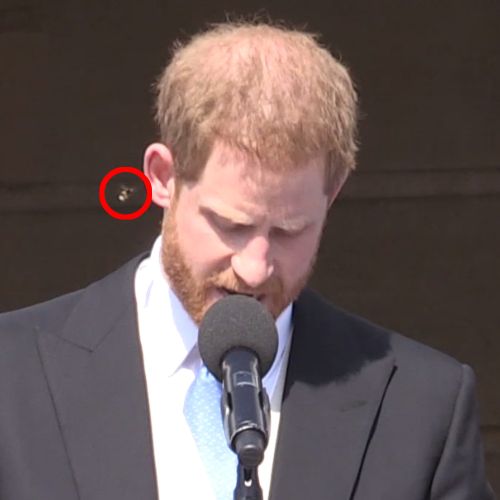 Prince Harry was menaced by a bee at a celebration for his father, Prince Charles.