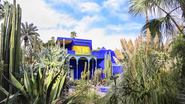 Jardin Majorelle villa and botanical garden restored by Yves Saint-Laurent and Pierre Berge.