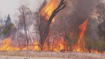Firefighters are tackling an unfolding emergency across southern Queensland. 