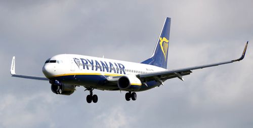 The budget airline released a statement saying the staff breached trust and damaged Ryanair's reputation.