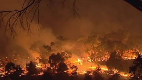 A blaze burns out of control in South Australia. (9NEWS)