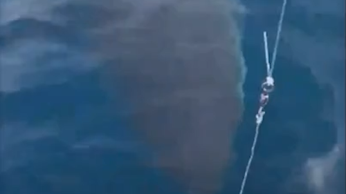 Fishermen have frightening encounter with monster great white shark