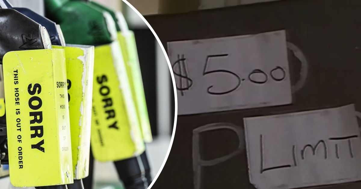 'Forced to car pool': What does fuel rationing actually look like?