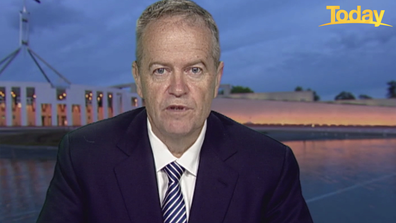 Bill Shorten has lashed those responsible behind the alleged actions. 