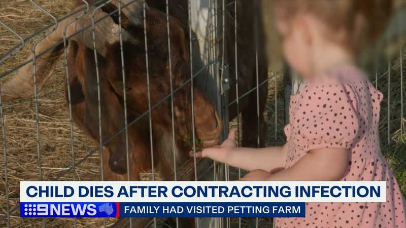 Tragic death of child following petting zoo visit
