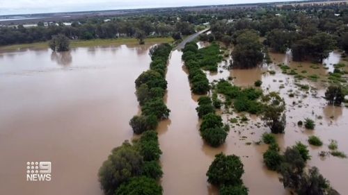 Residents in northern New South Wales and along the Victorian border are seeing the impacts of the dangerous weather system bearing down on Australia's east coast as rivers break their banks.﻿