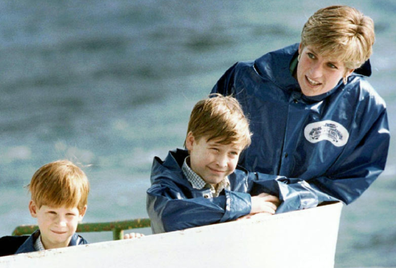 Princess Diana with Prince William and Prince Harry in 1991.