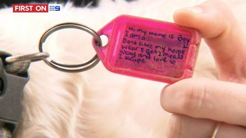 A tag Boy now wears on his adventures. (9NEWS)