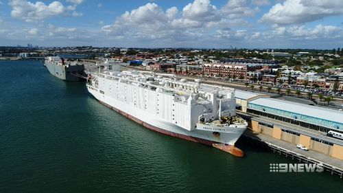 The WA Government wants live exports banned during the northern hemisphere's summer. (9NEWS)