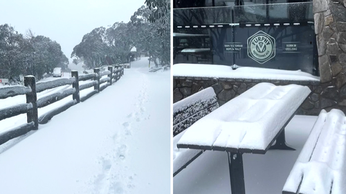 Victoria's alpine regions have been transformed with fresh snow dumps - a week out from summer.
