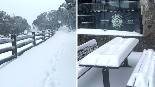 Les régions alpines de Victoria ont été transformées avec des décharges de neige fraîche - une semaine avant l'été.