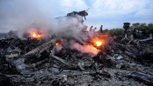 The crash site of Malaysia Airlines MH17 in eastern Ukraine.