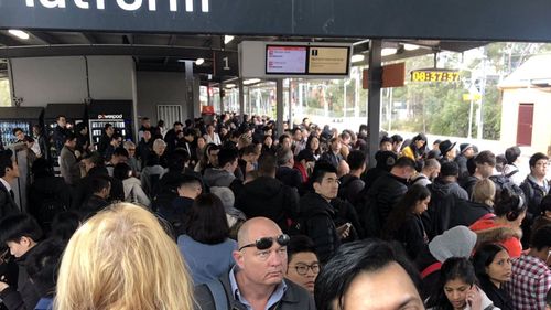 Commuter chaos on Sydney trains