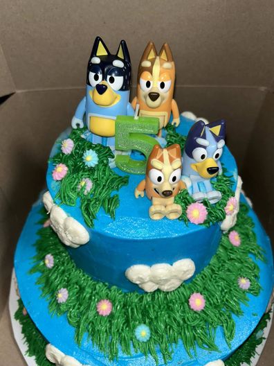 I threw my son an epic Bluey-themed birthday party but no kids came