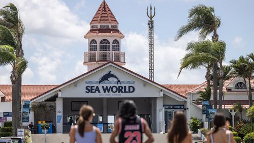 Sea World on the Gold Coast in Queensland, where a confirmed measles case attended the Spooky Nights event in October 2025.