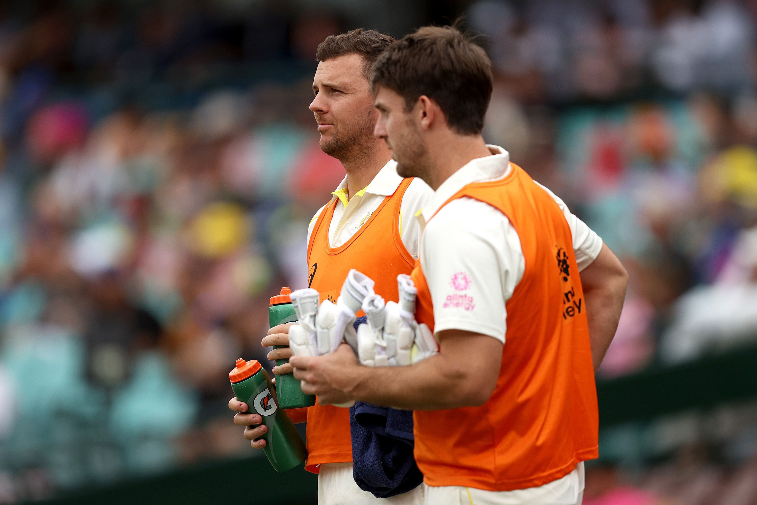 Josh Hazlewood expected to miss Hobart Test, says Justin Langer