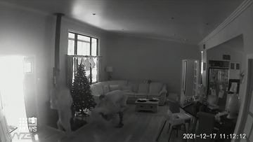 A pair of thieves might find themselves on Santa&#x27;s naughty list this year, after being caught on camera stealing Christmas gifts from a Queensland family.