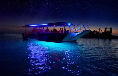 Tangalooma wrecks night glass bottom boat tour 