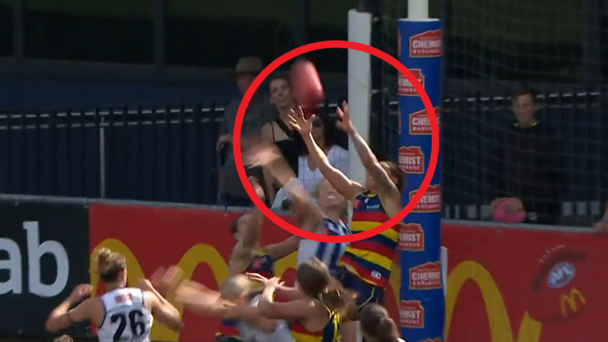 Adelaide&#x27;s Anne Hatchard took an incredible mark in the preliminary final.