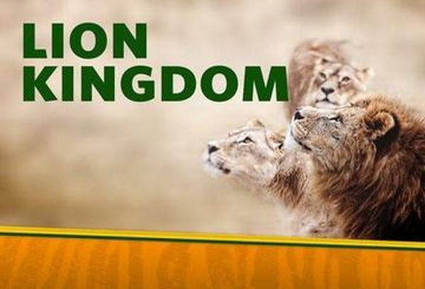 Lion Kingdom