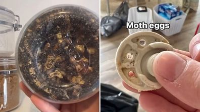 Signs of pantry moth infestation in US woman's kitchen