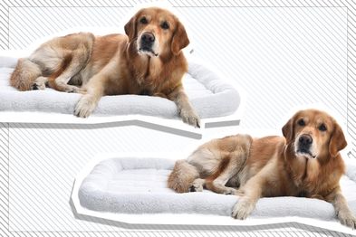 9PR: Faux-Sherpa Padded Bolster Pet Bed, X-Large
