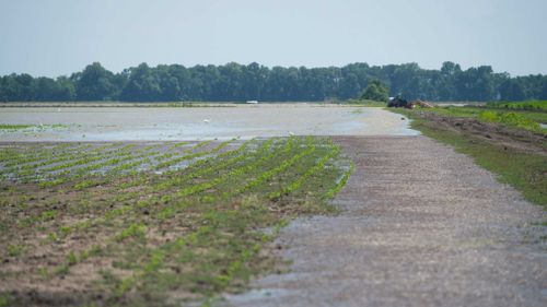 190612 Gulf of Mexico Dead Zone water research USA rain weather flooding news World