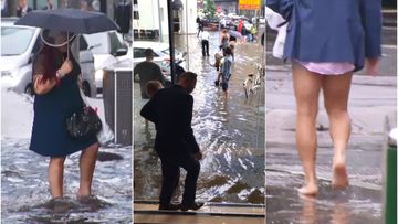 Half a month's rain in three hours floods Melbourne