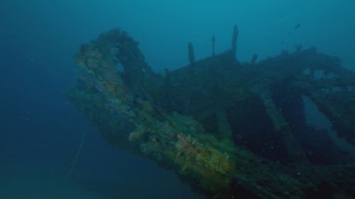 Lady Palmerston shipwreck discovered south of Kangaroo Island after 90 years