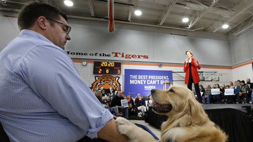 Elizabeth Warren's dog Bailey has been a constant presence on the campaign trail.