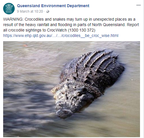 The Queensland Environment Department warned of crocodiles and snakes. (Facebook)