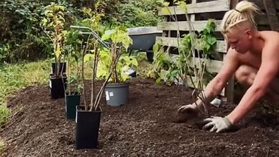 No dig gardening tutorial
