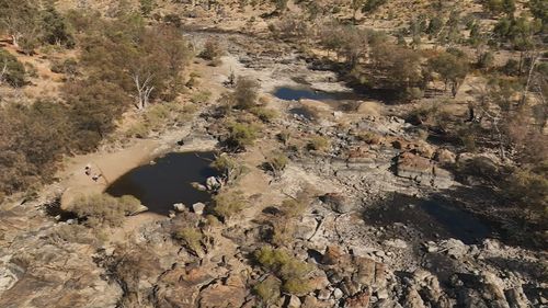 Dry bushland in Western Australia.