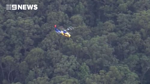 Authorities are searching for a missing pilot in far north-eastern NSW. (9NEWS)