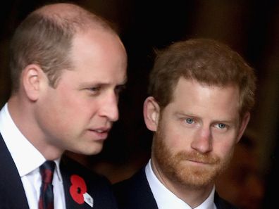 Prince William and Prince Harry