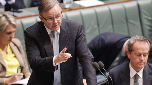 Labor MP Anthony Albanese. (AAP)