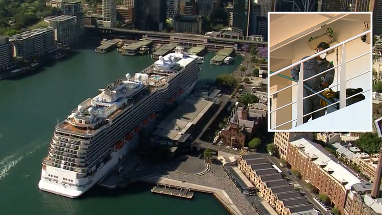 cruise ship 800 covid cases sydney