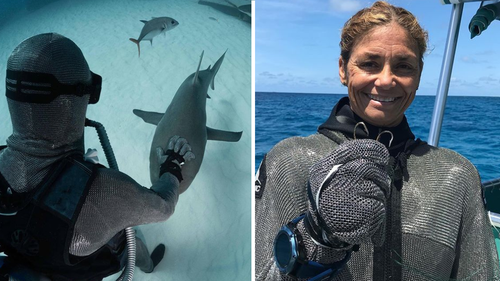 The diver said 'there's a level of trust' between her and the sharks as she works with the same population of animals. 