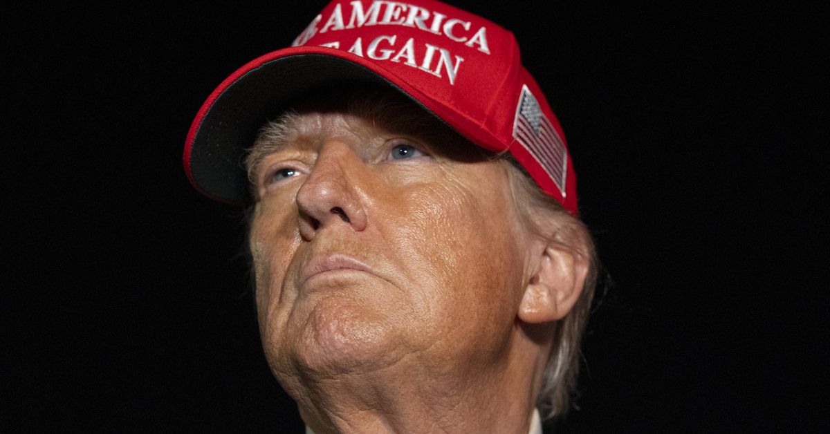 Trump will 250 Jahre Unabhängigkeit mit einem UFC-Kampf im Weißen Haus ...