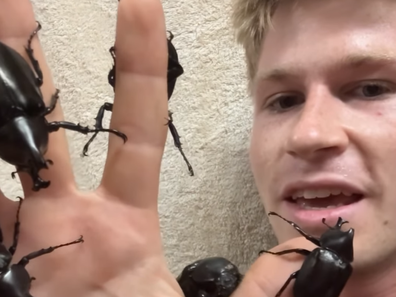 Robert Irwin shocks Instagram followers with a video of terrifying bugs all over him