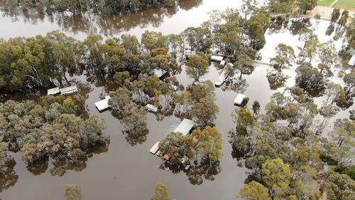 La visione aerea cattura l'entità delle inondazioni del fiume Murray che si verificano a Moama, nel NSW meridionale.