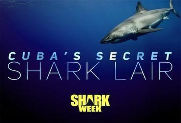 Cuba's Secret Shark Lair