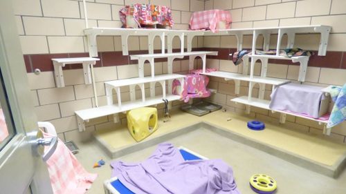 The vacant cat playpen. (Facebook / Fort Wayne Animal Care and Control)