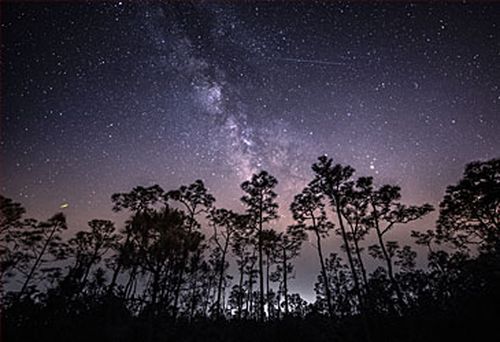 Meteor shower of Halley's Comet debris (Getty)