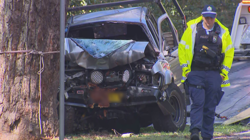 One teenager has died and another five have been injured after their ute slammed into a tree in Bayview on Sydney's northern beaches.