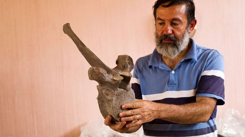 Archaeologist Luis Cordoba with remains of a mammoth. (AFP)