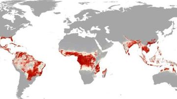 The global potential spread of the Zika virus. (Oxford University)