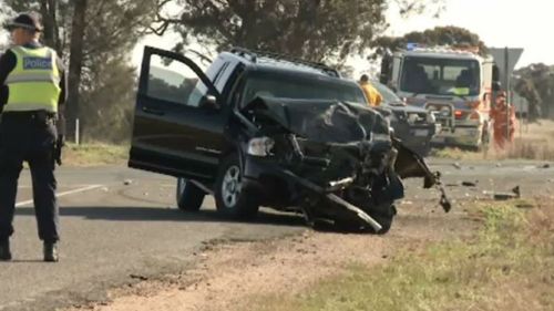 Police are still investigating the exact circumstances of the Lubeck crash. (9NEWS)